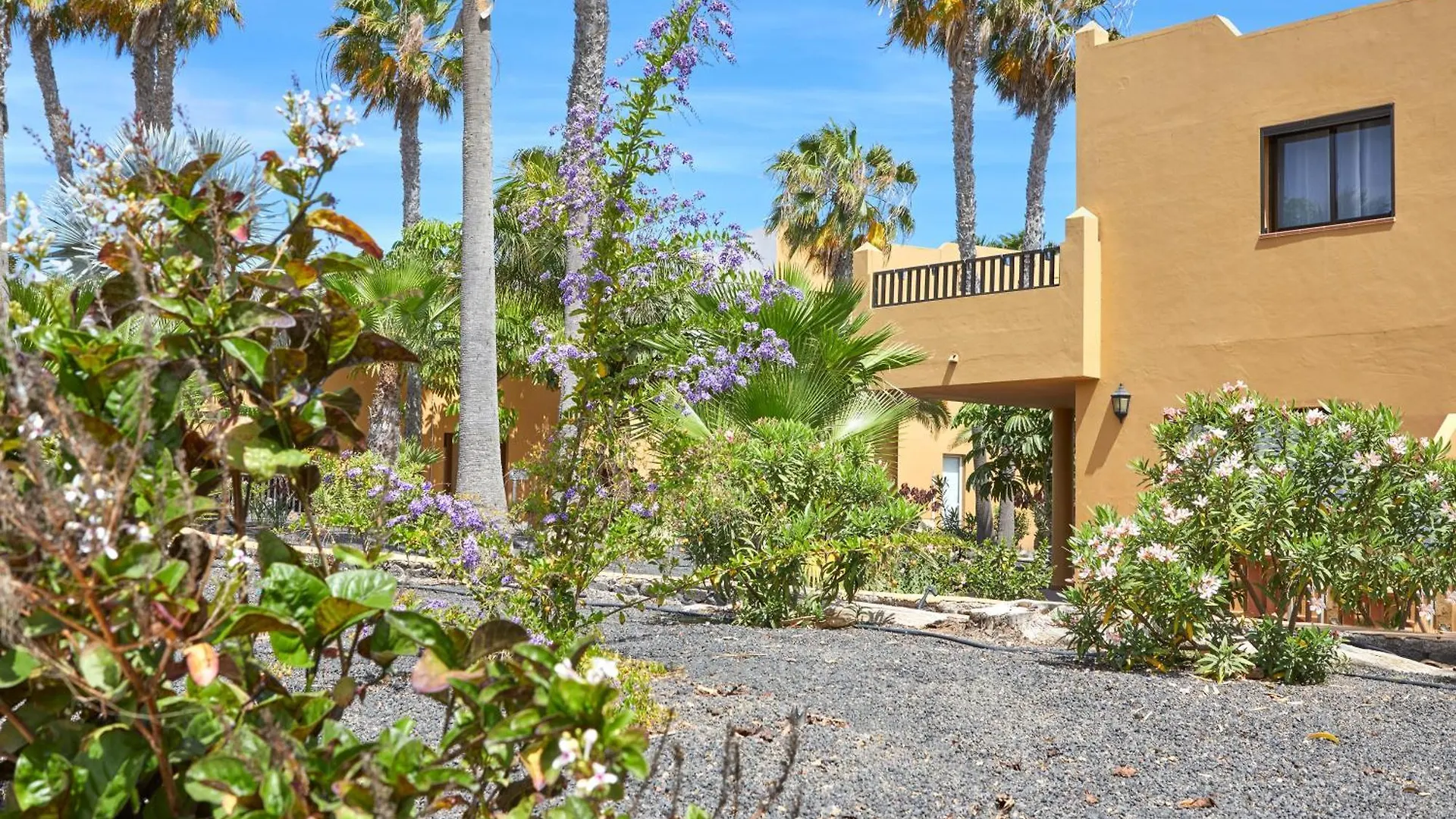 Apartamento Samira Fuerteventura Corralejo 0*,  Španělsko