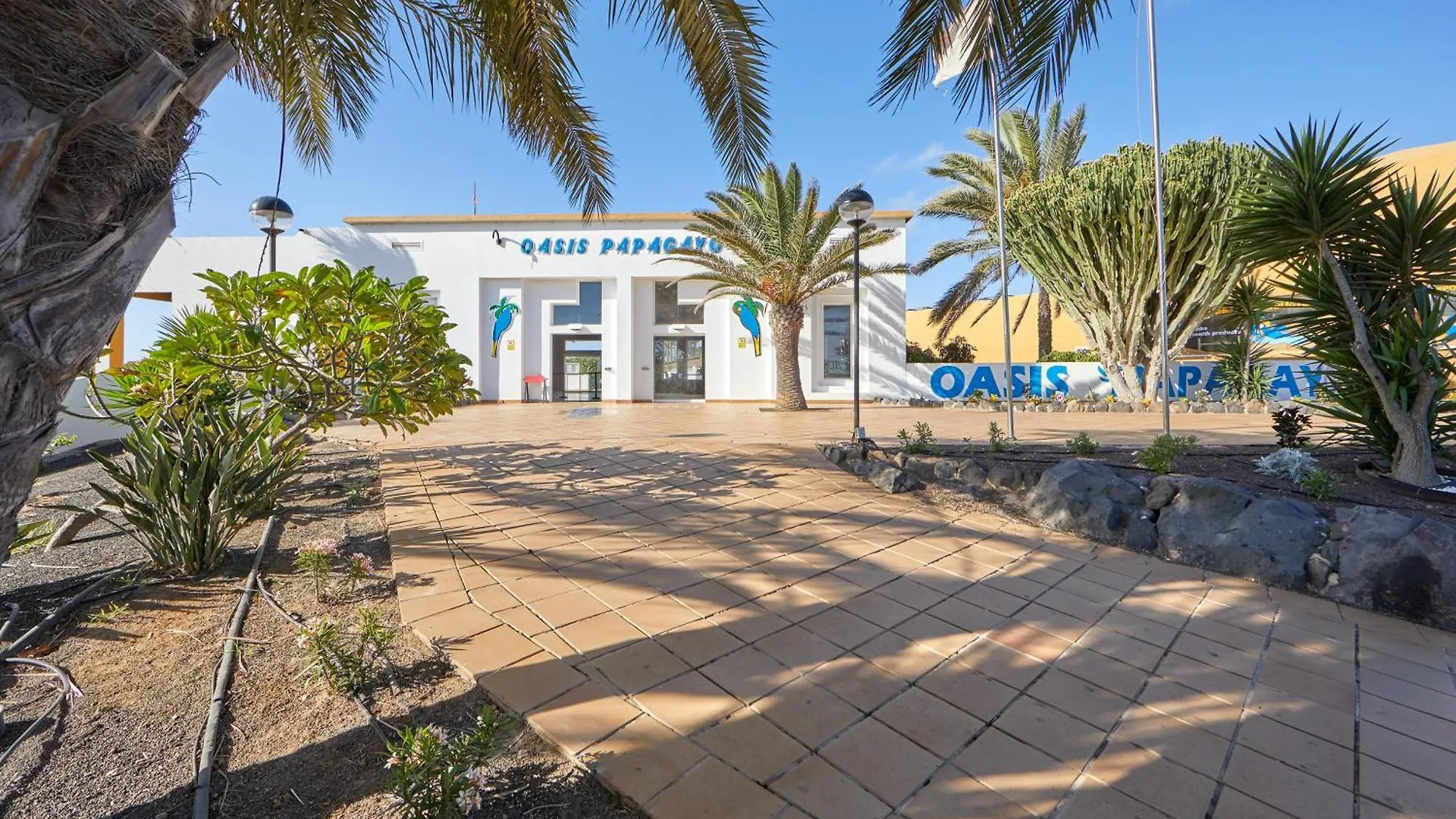 Apartamento Samira Fuerteventura Corralejo Apartmán