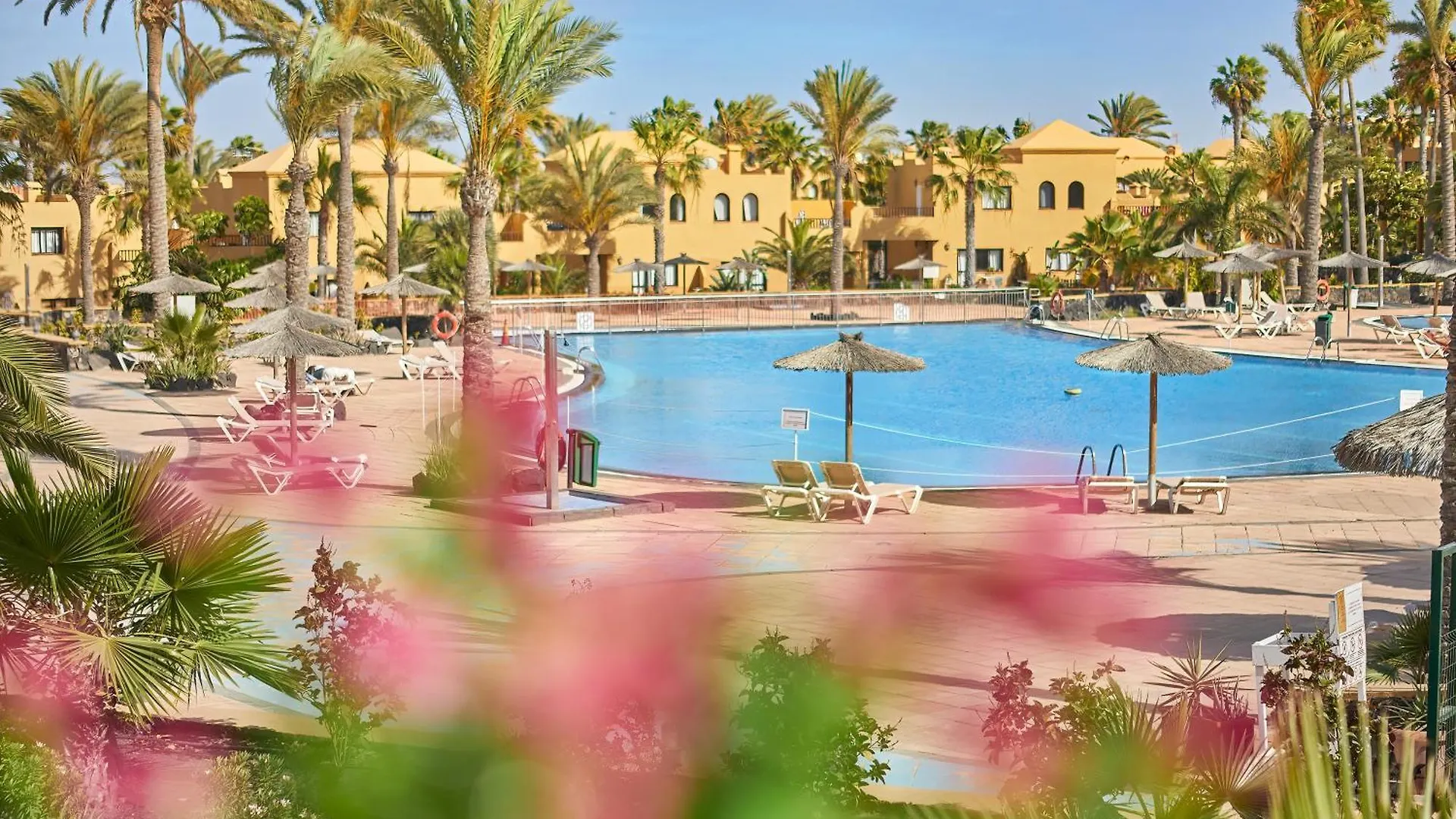 Apartamento Samira Fuerteventura Corralejo